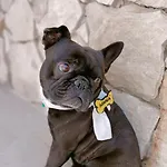 Nanà Maison Casa vacanze Nardò