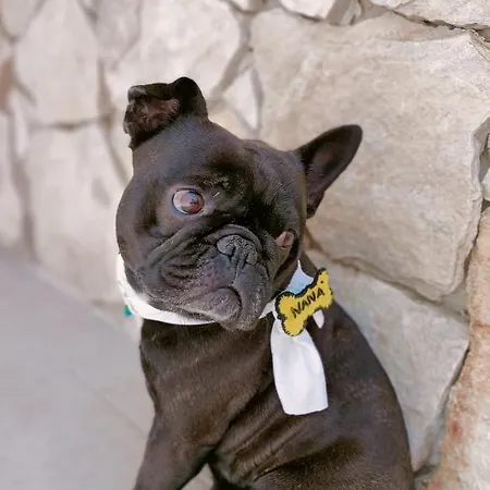 Nana Maison Vakantiehuis Nardò