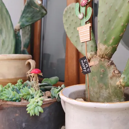 Nana Maison * Nardò