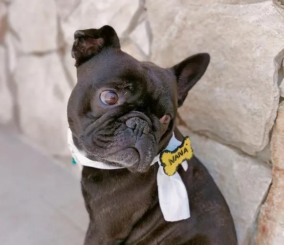 Nana Maison Ferienhaus Nardò